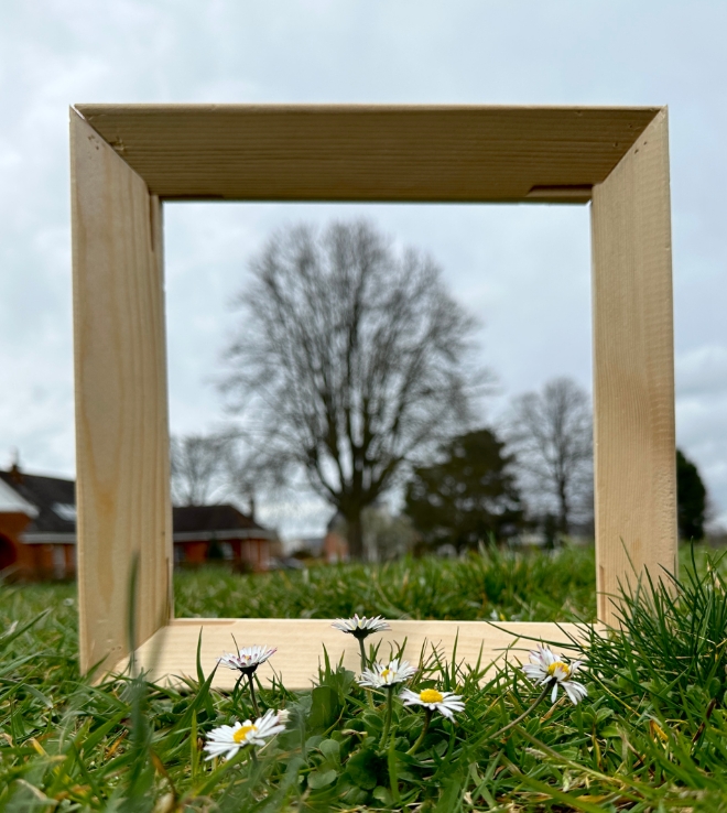 금보성 캔버스, 유럽 캔버스 종주국 진출 준비