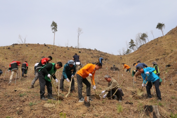 김인규 하이트진로 대표이사(가운데)를 비롯한 하이트진로 임직원 및 협력사들이 강릉 산불피해지역에 나무를 심고 있다. / 제공:하이트진로