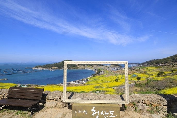 청산도 유채꽃밭 (사진제공 = 완도군)