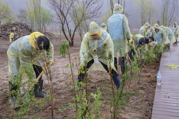 지난 5일 연천군에서 진행된 동아에스티 숲 조성 행사에서 참가자들이 나무를 심고 있다.