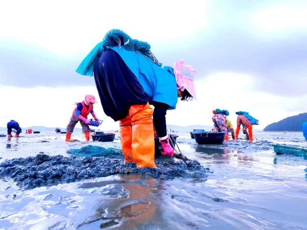제공:한국어촌어항공단