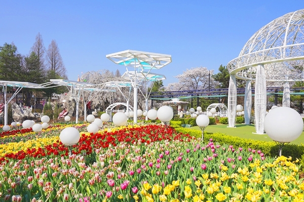 서울랜드 / 제공:티몬