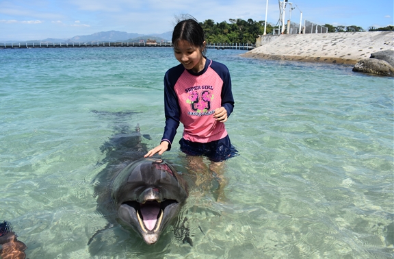 청춘유학, 캐나다·미국·필리핀 영어캠프 및 가족연수 세미나 진행