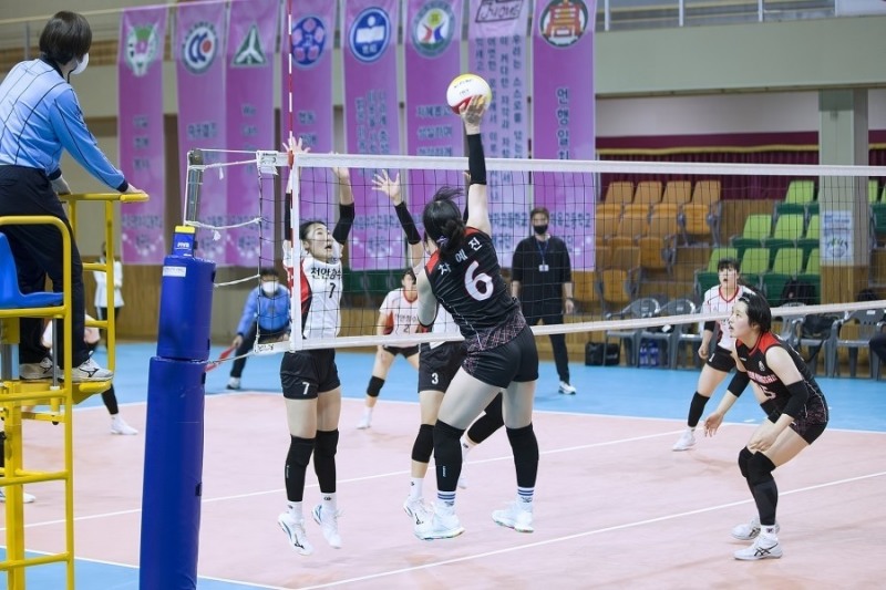 지난 해 태백산 전국중고배구대회 경기 모습.