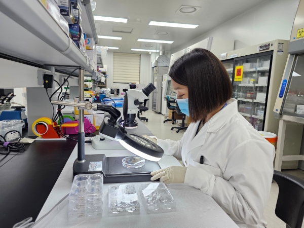 모기 분류 모습 / 제공:경기도