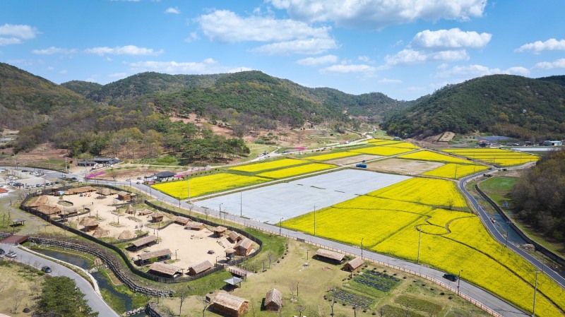 고인돌 축제 전경 (사진제공 = 화순군)