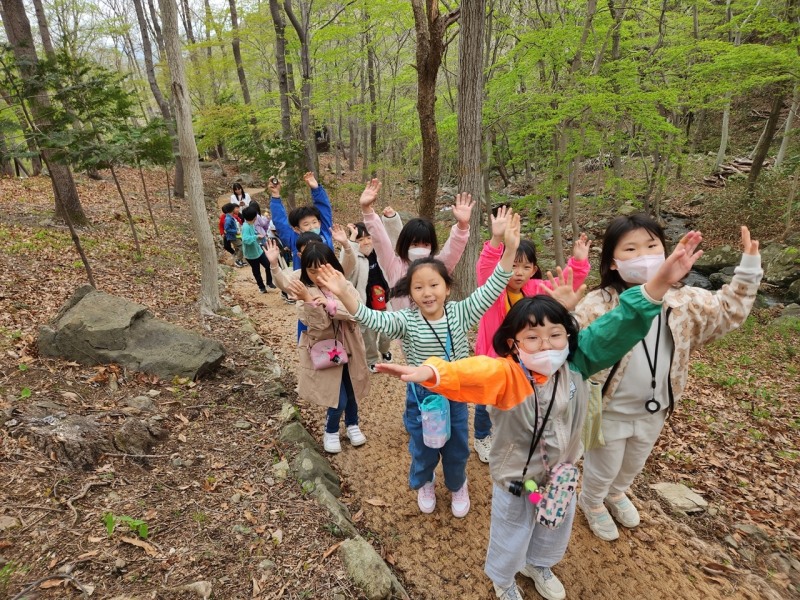 자연휴양림 안심 어린이 놀이터 (사진제공 = 보성군)