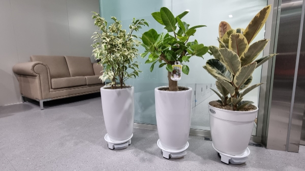 화훼소비활성화 공급 사진 / 제공:경기도