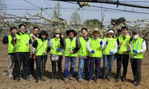 NH농협은행 자금시장부문 길정섭 부행장(첫줄 오른쪽에서 4번째)과 직원들은 충남 천안시 성환읍 소재 농가를 찾아 배꽃 인공수분 작업 등 일손 돕기에 구슬땀을 흘렸다. / 사진 = NH농협은행