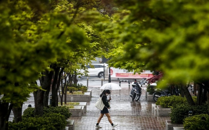 비가 내린 지난 18일 오전 서울 성북구 고려대학교에서 학생들이 우산을 쓴 채 이동하고 있다.