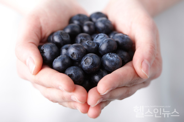 클립아트코리아