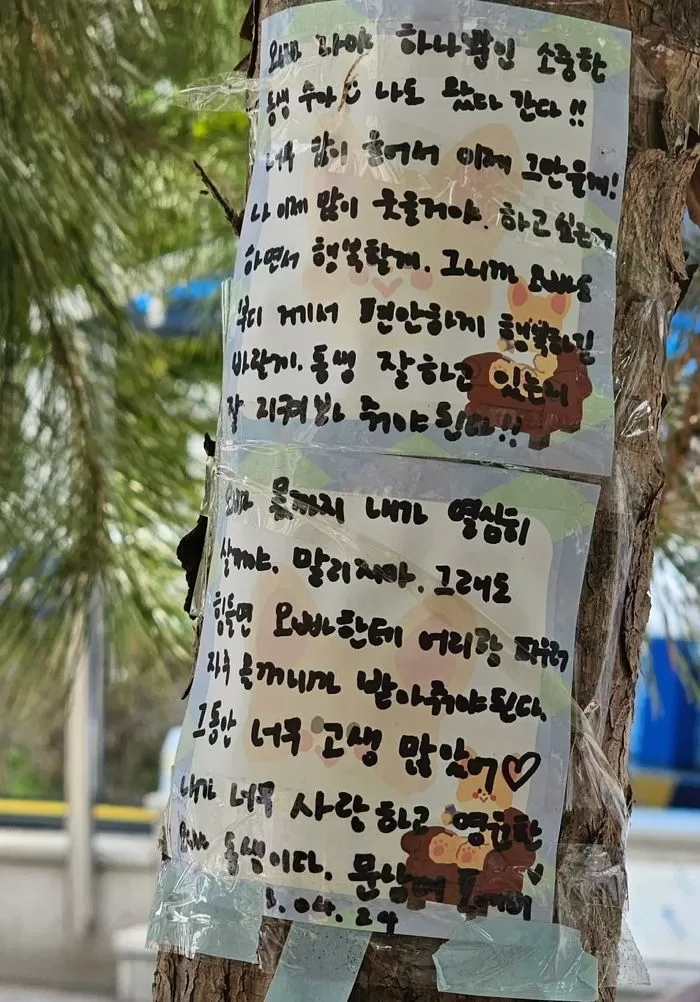 사진=더쿠넷