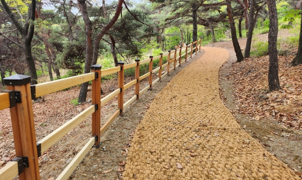 조성된 공원 숲길 사진 / 제공:인천시