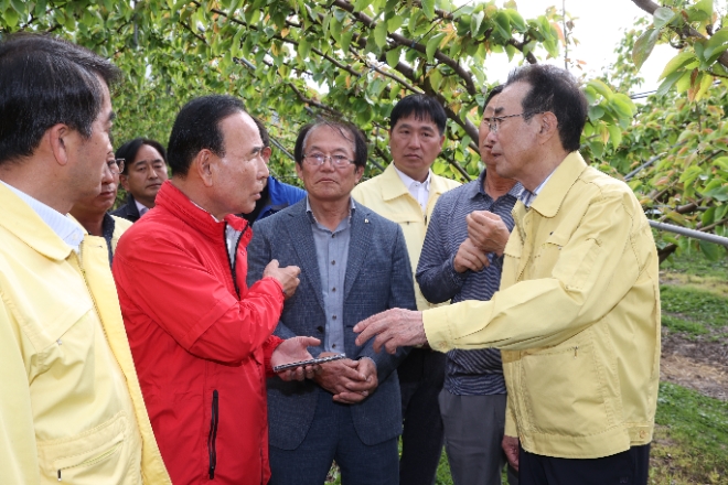 이성희 회장, 냉해현장 방문 모습. / 사진 = 농협중앙회 제공