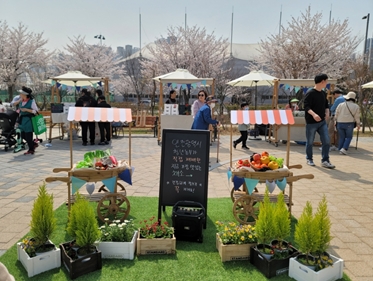 인천 청년파머스마켓 개최 사진