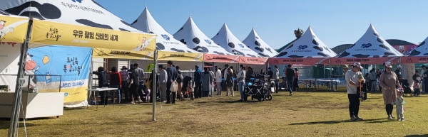 나비대축제 축산 프로그램 (사진제공 = 함평군)