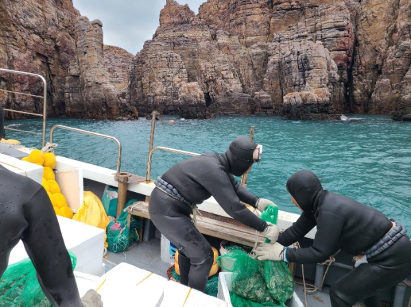 수산종자 방류 (사진제공 = 신안군)