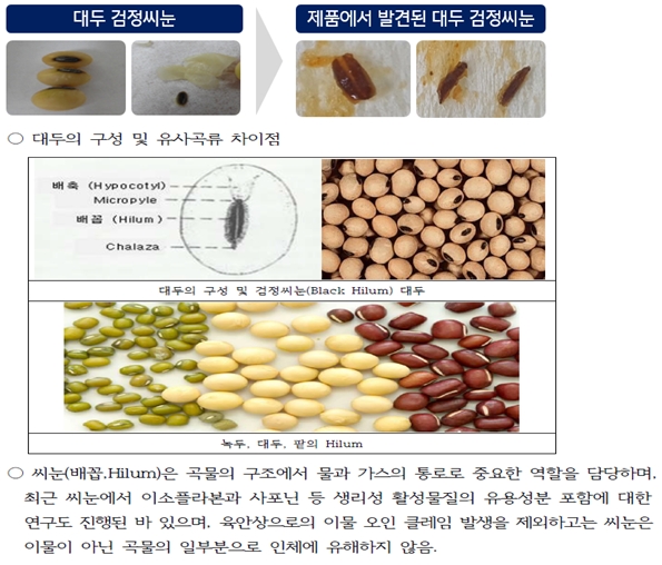 대두의 검은 씨눈. / 사진 = 네이버지식인 오픈백과 캡처