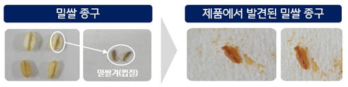 밀쌀 종구 모습. / 사진 = 네이버지식인 오픈백과 캡처