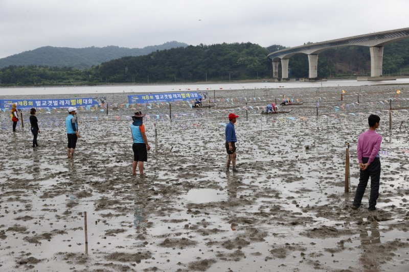 벌교갯벌 레저뻘배대회 (사진제공 = 보성군)