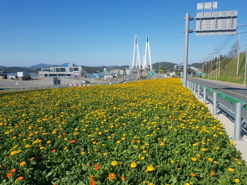꽃피는 진도 만들기 (사진제공 = 진도군)