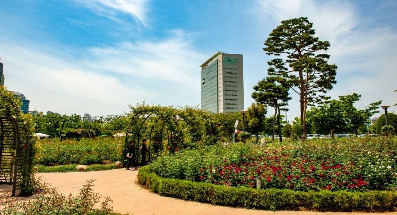 장미공원 (사진제공 = 광주광역시)