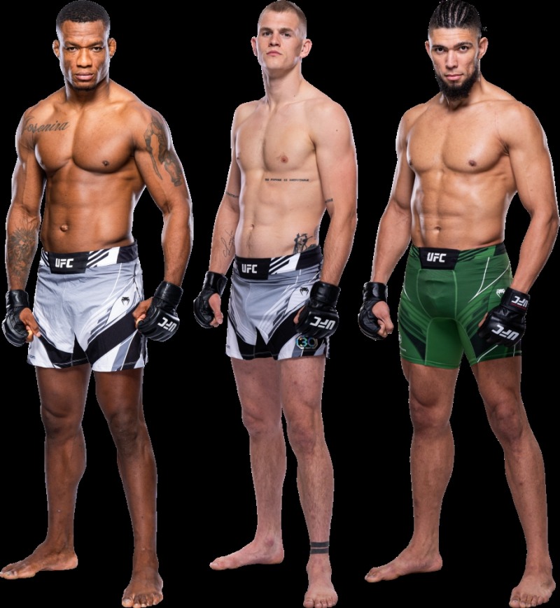 14일 UFC on ABC 4의 승자로 예상되는 알메이다(왼쪽), 게리(가운데)와 박빙의 조니 워커(사진=UFC)