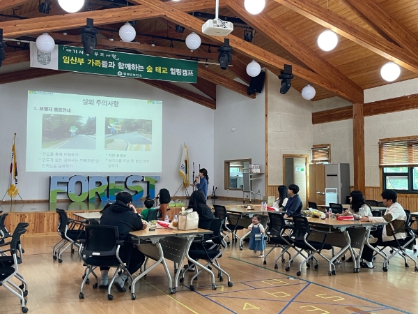 임산부 숲태교 힐링캠프 / 사진=담양군 제공