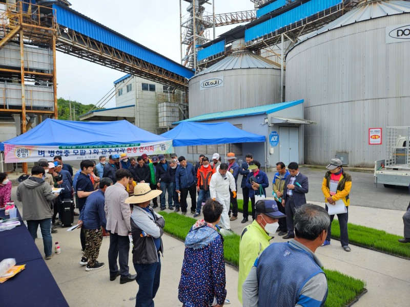 벼 병해충 모판 관주 처리 현장 연시회 개최 (사진제공 = 진도군)