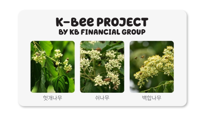KB금융은 이상 기후로 인해 전국적으로 동시에 꽃이 피고, 개화 유지 기간도 점점 짧아지고 있는 점을 고려하여 헛개나무, 쉬나무, 백합나무 등 다양한 묘목으로 밀원숲을 조성하고 있다. / 사진 = KB금융 제공