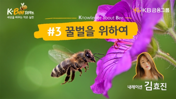 `꿀벌을 위하여` 영상 썸네일. / 이미지=KB금융그룹