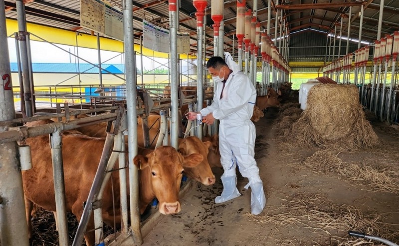 가축 긴급 백신 접종 (사진제공 = 나주시)