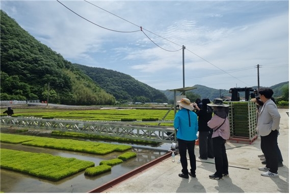 벼 육묘상자 자동이송장치 시연 (사진제공 = 화순군)