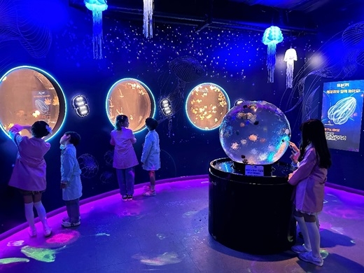 부산 아쿠아리움, 해운대 해수욕장 부분 개장 앞두고 신규 전시 체험존·다양한 시설 업그레이드