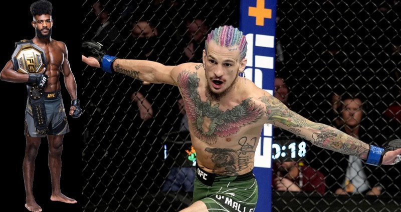 오말리(오른쪽)는 맥의 모조품이라며 4방을 자신하고 있는 스털링(사진=UFC)