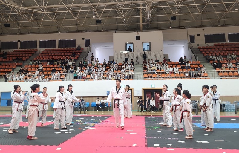 장애인 종목별 체육대회 / 사진=정읍시 제공