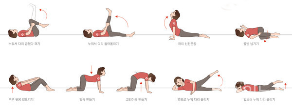 집에서할수있는허리근육강화운동(자료제공인제대학교백병원)