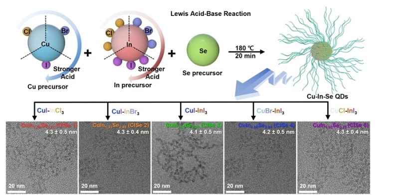 △ 결함제어 합성법을 통해 제작된 Cu-In-Se 반도체 양자점의 전자현미경 이미지 (사진제공 = 단국대)