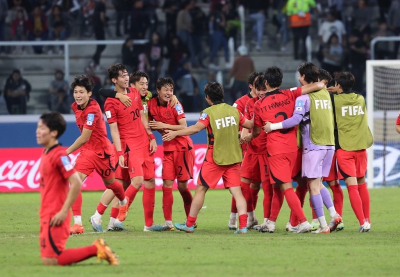 에콰도르를 3:2로 꺾고 8강 진출에 성공한 한국 대표팀 선수들이 기뻐하고 있다. [연합뉴스] 