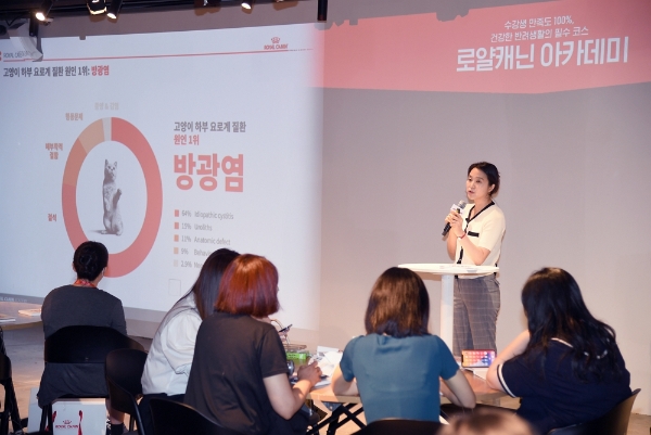 사진=로얄캐닌 아카데미 고양이 세션의 연사로 등장한 이기쁨 원장