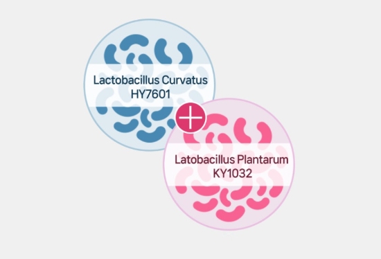 다이어트 원료 ‘메타바이옴S’ 비만 관련 10가지 지표 개선