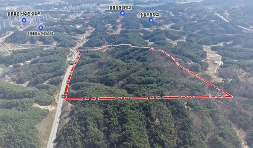 사진: 강릉시 제공