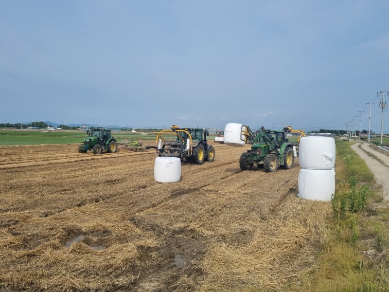 사진=군산시 제공