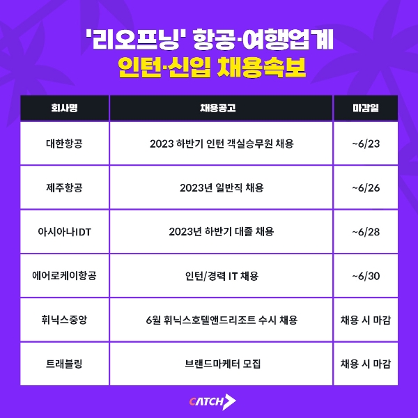 대한항공, 제주항공 등 항공·여행 업계 인턴·신입 채용