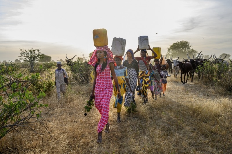 아프리카에서 물을 길어가는 여인들 [김영사 제공]