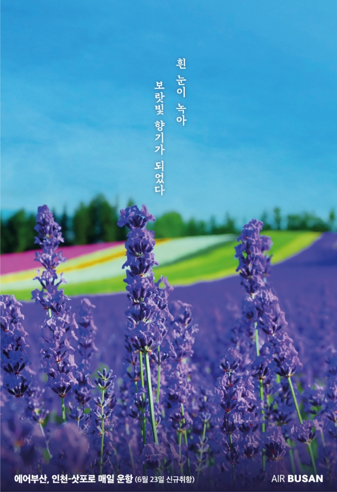 에어부산, 신규 취항 인천발 삿포로·보홀 첫 운항편 각 90%이상 탑승률 기록