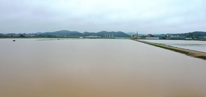 밤사이 광주·전남에 거센 장맛비가 쏟아진 28일 전남 함평군 엄다면 성천리 일대 농경지가 흙탕물에 잠겨 있다.