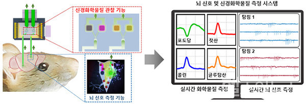 뇌신호및신경화학물질동시측정다목적브레인칩개략도및칩동작원리에관한이해도