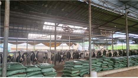 사진=인천시 제공