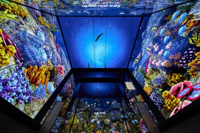 부산엑스더스카이 고속 엘리베이터, 스카이 크루즈